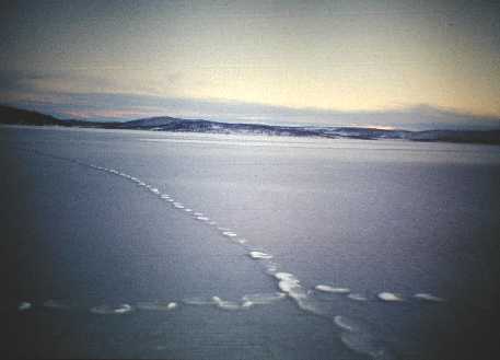 Poropolkuja Pe�ldulla